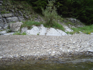 DSC01331