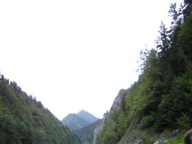 DSC03487