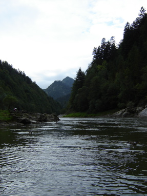 DSC03489