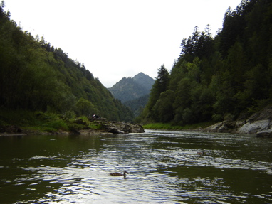 DSC03490