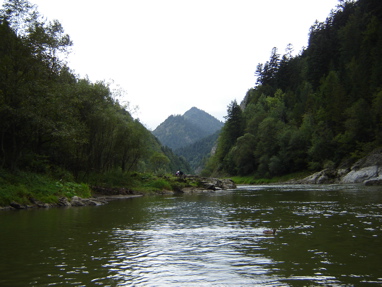 DSC03491