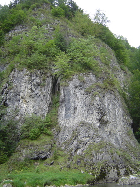 DSC01343