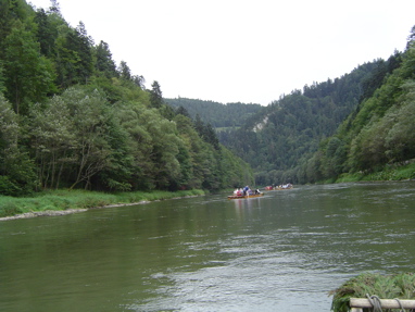 DSC01344