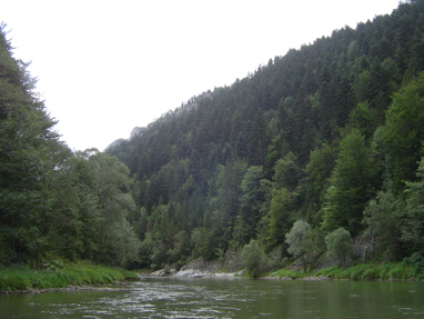 DSC01345