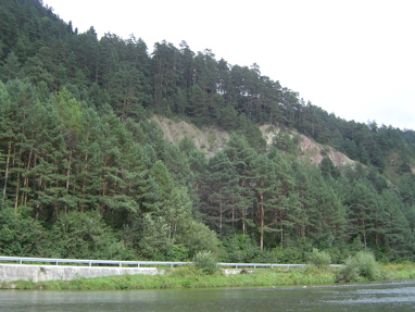 DSC01281
