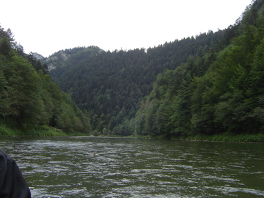 DSC01351