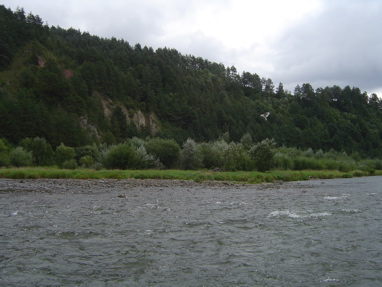 DSC01282