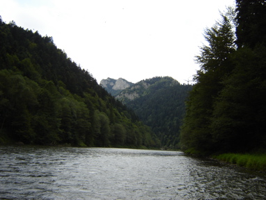 DSC03500
