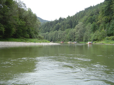 DSC01354