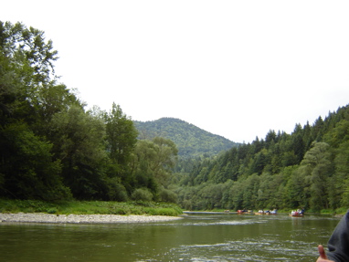 DSC03501