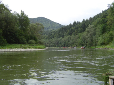 DSC01356