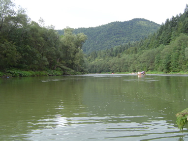 DSC01357