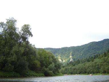 DSC03503