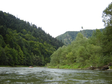 DSC03504