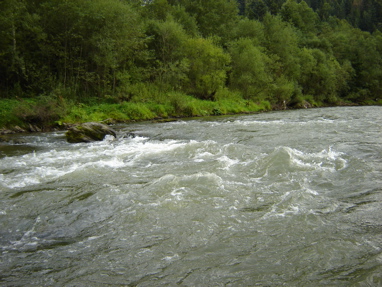 DSC03505