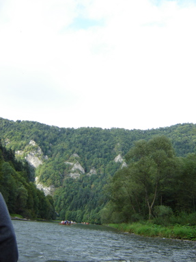 DSC03506
