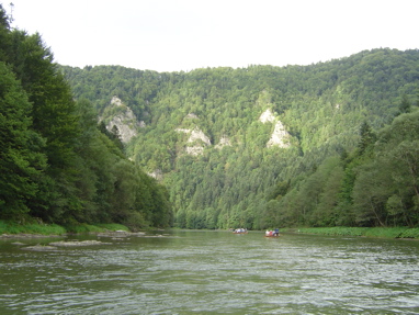 DSC06339