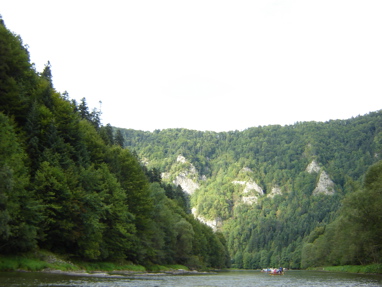 DSC03507