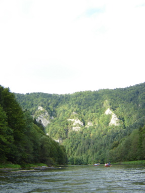 DSC03508