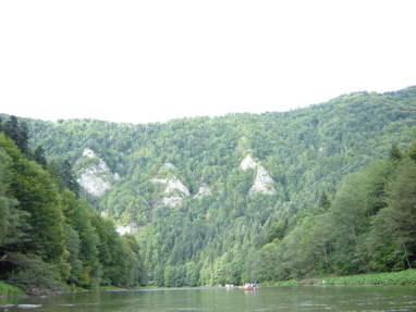 DSC03509