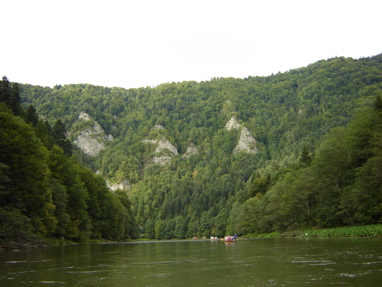 DSC03510
