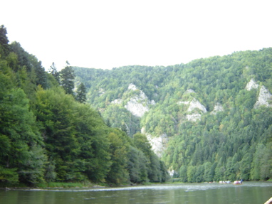 DSC03511