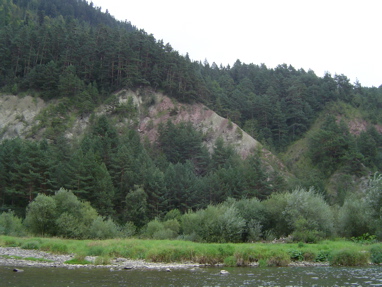 DSC01285