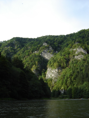 DSC03513