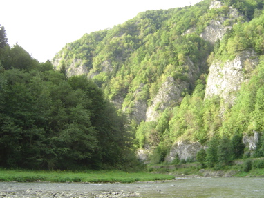 DSC06340