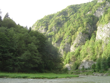 DSC06341