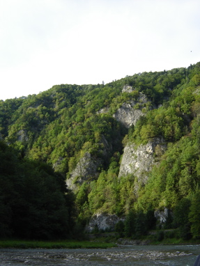 DSC03515