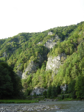 DSC03516