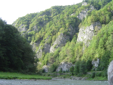 DSC01365