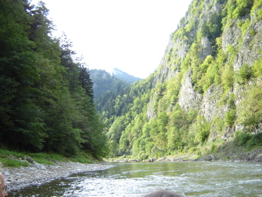 DSC03519