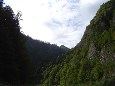 DSC01366