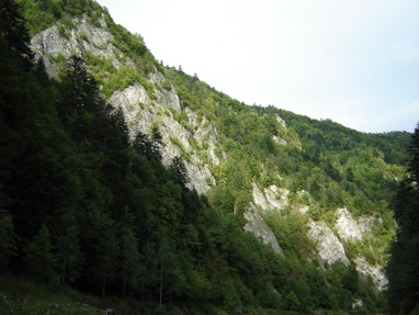 DSC03527