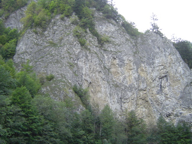DSC01371