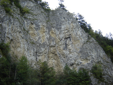 DSC03530