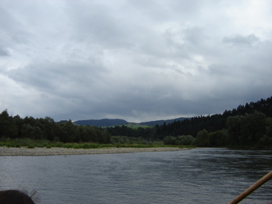 DSC03444