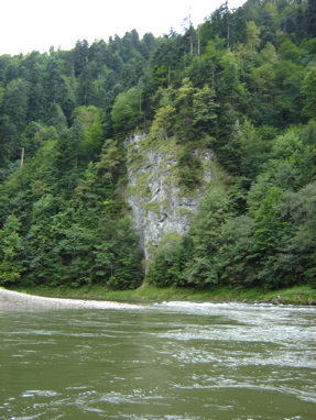 DSC03531