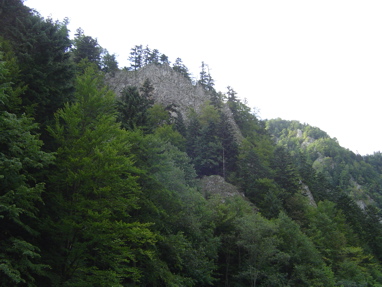 DSC01379