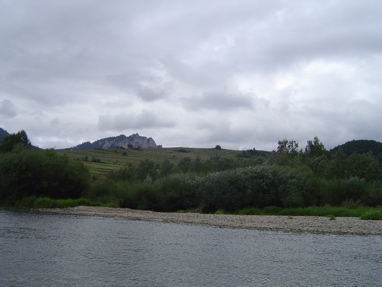 DSC01288