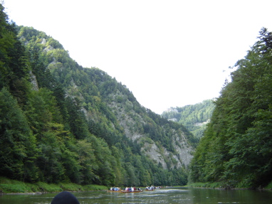 DSC03535