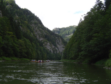 DSC01380