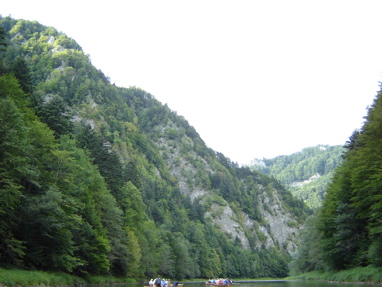 DSC03536