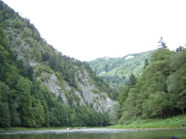 DSC03537
