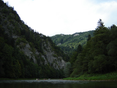 DSC03538