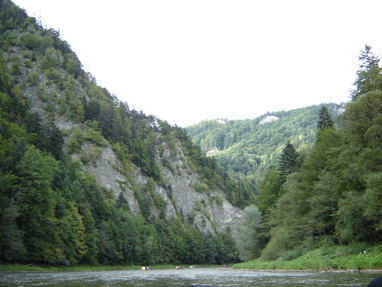 DSC03539