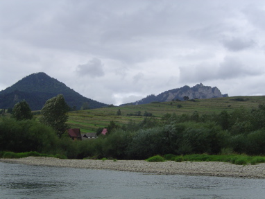 DSC06311
