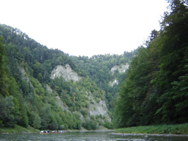 DSC03540